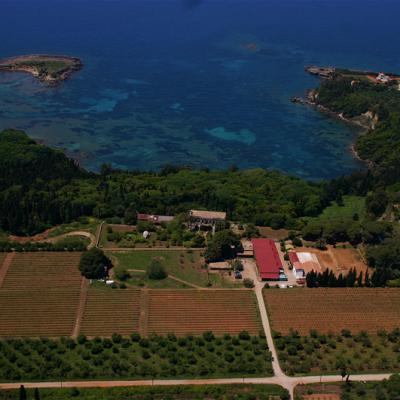 Merkouri 03